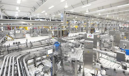 數(shù)字化轉(zhuǎn)型不會讓弱者變強(qiáng)——以人工智能基礎(chǔ)軟件開發(fā)為視角的觀察